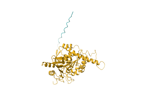 AF-Q8L3B1-F1 image