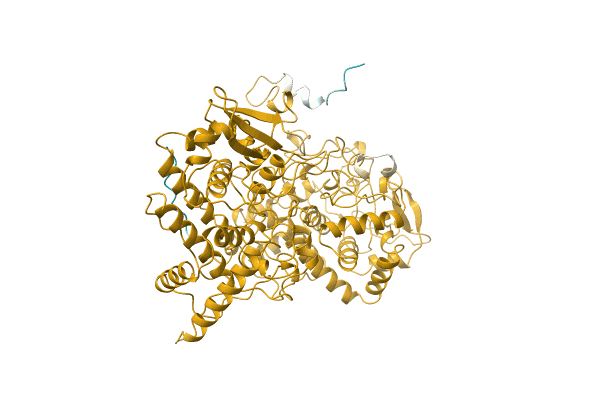 AF-Q8NJN2-F1 image