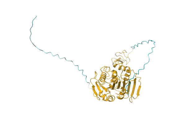 AF-Q8NJP6-F1 image