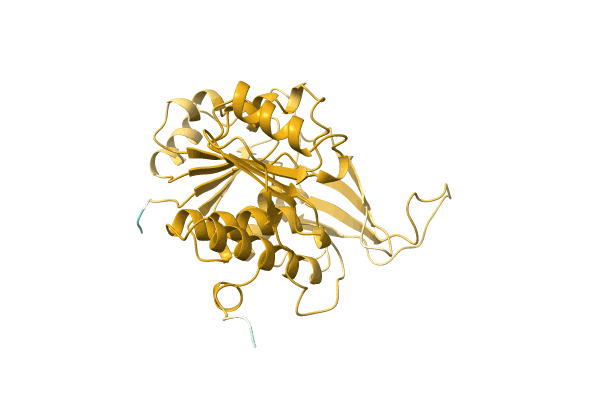 AF-Q8RMD4-F1 image