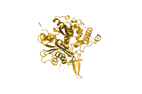 AF-Q8VPF1-F1 image