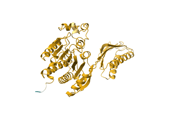 AF-Q9F464-F1 image