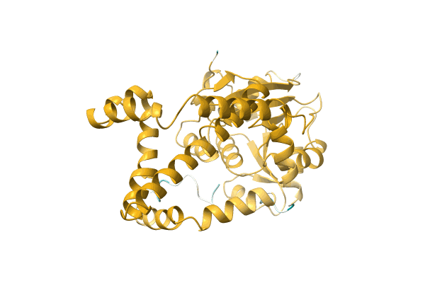 AF-Q9F7L6-F1 image