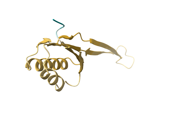 AF-Q9FA05-F1 image
