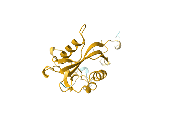 AF-Q9KK72-F1 image