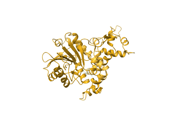 AF-Q9LEL5-F1 image