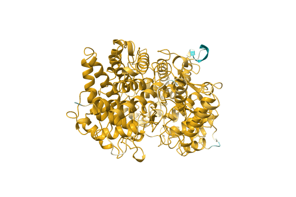 AF-Q9SLP9-F1 image