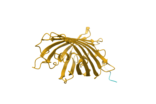 AF-Q9U6Y5-F1 image