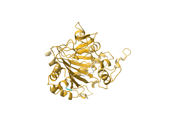 AF-Q9ZWQ9-F1 image