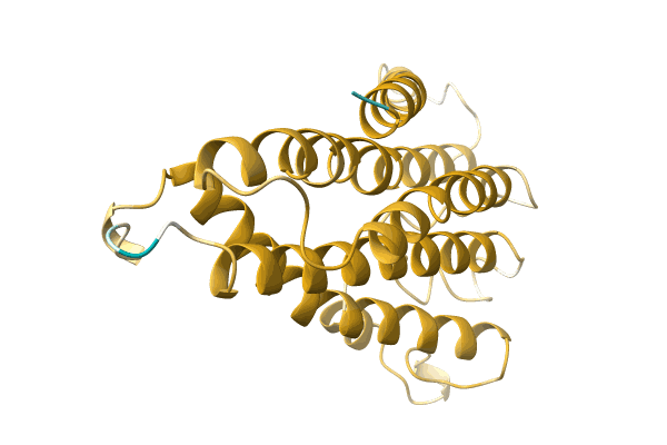 AF-R4IDH7-F1 image