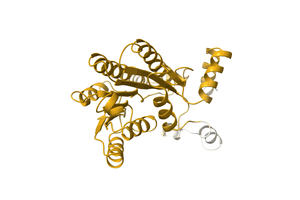 AF-R9UAM1-F1 image