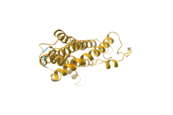 AF-S5X3A8-F1 image