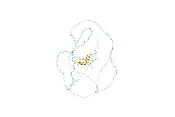 AF-S7Z906-F1 image