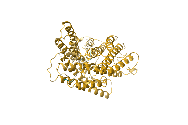 AF-T1RY28-F1 image