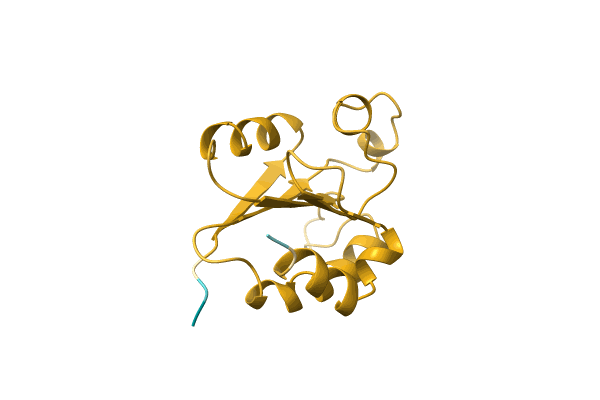 AF-T1SH39-F1 image
