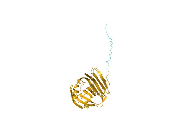 AF-W0HJ53-F1 image