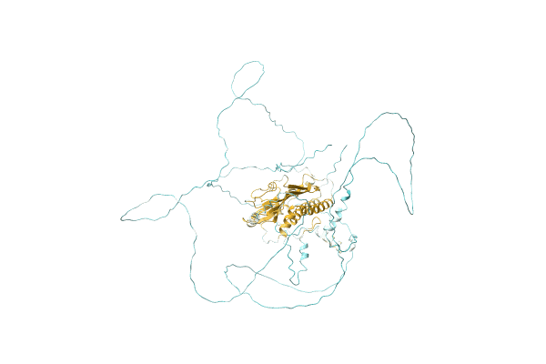 AF-W1QCN1-F1 image