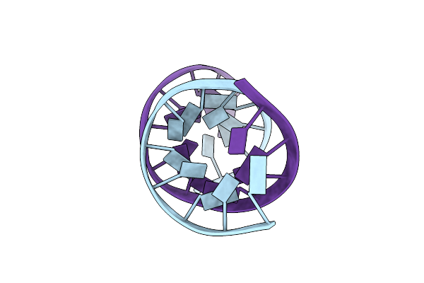 104D image