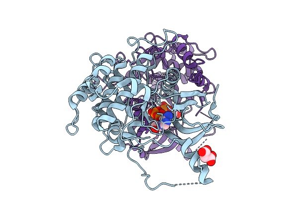 10BL image