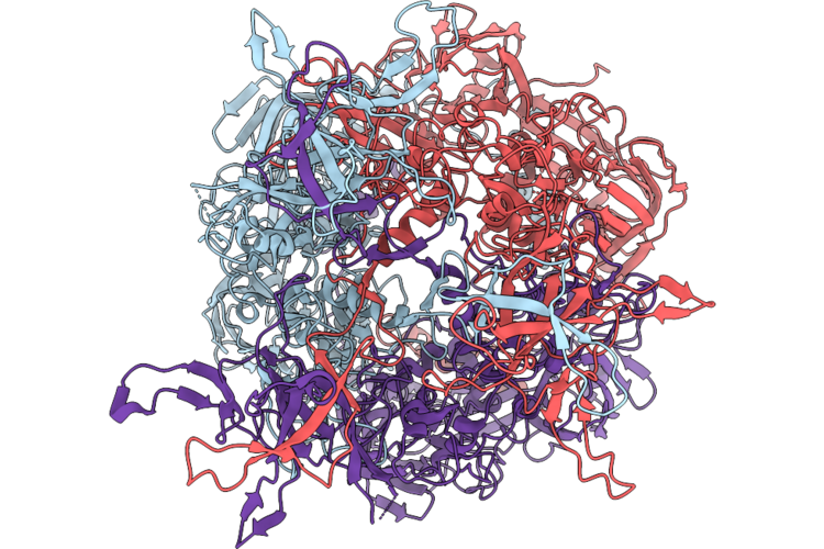 10DP image