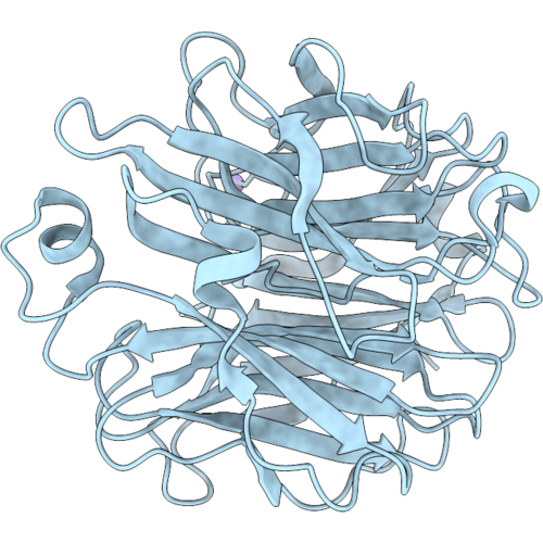 10EM image