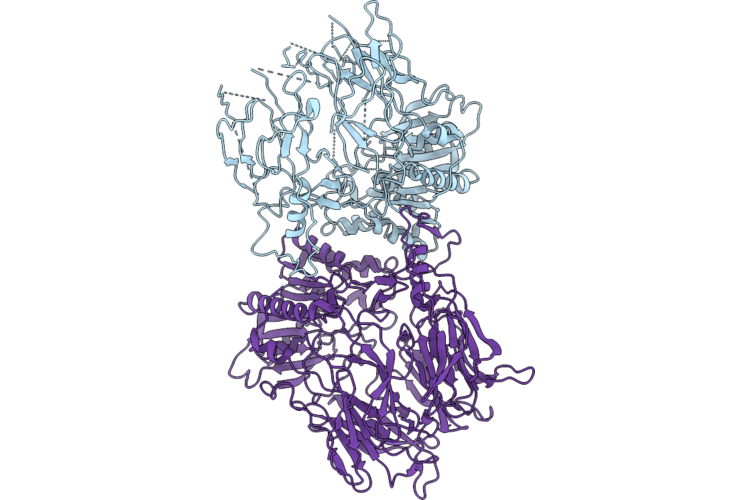 10EQ image