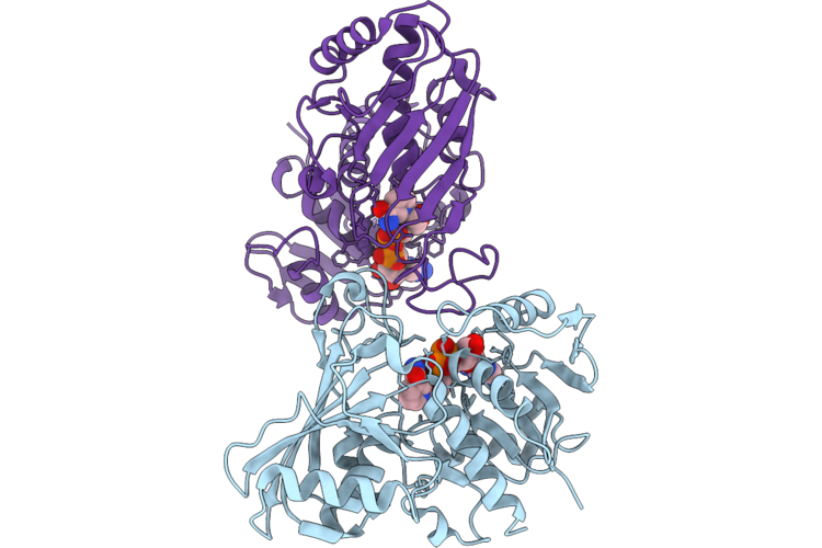 10GI image