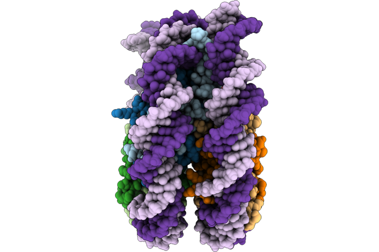 10GJ image