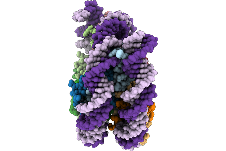 10GL image
