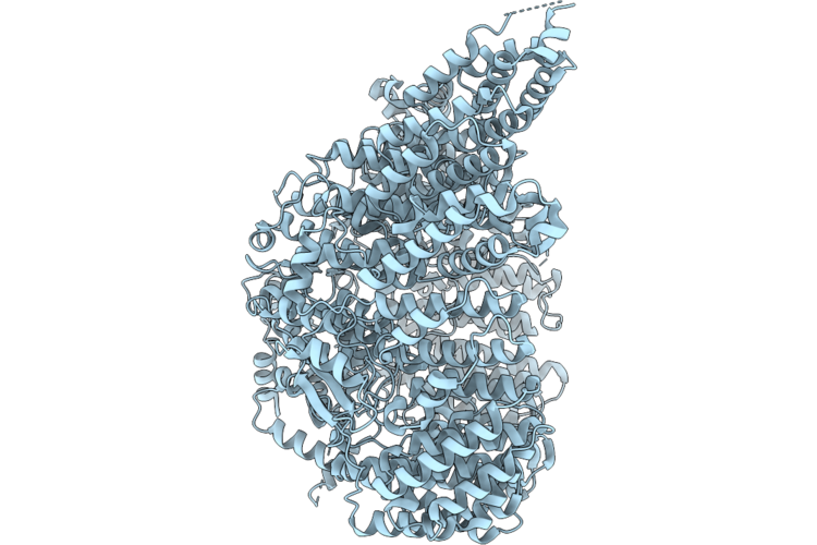 10GX image