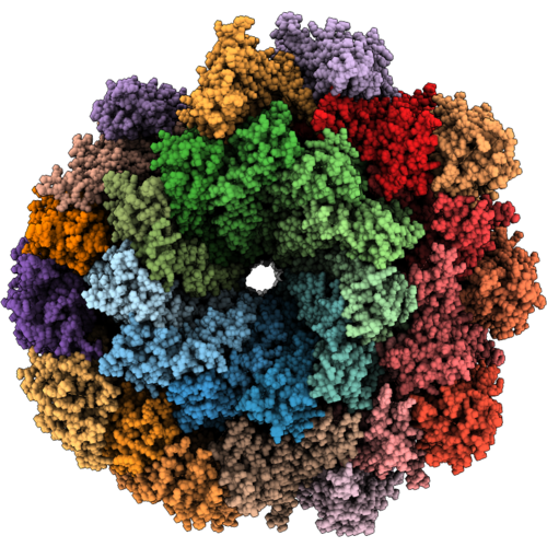 10LL image