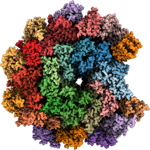 10LM image
