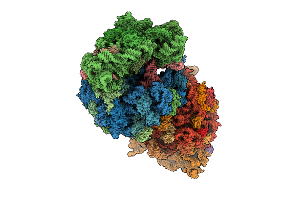 10PX image