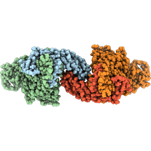 10RR image