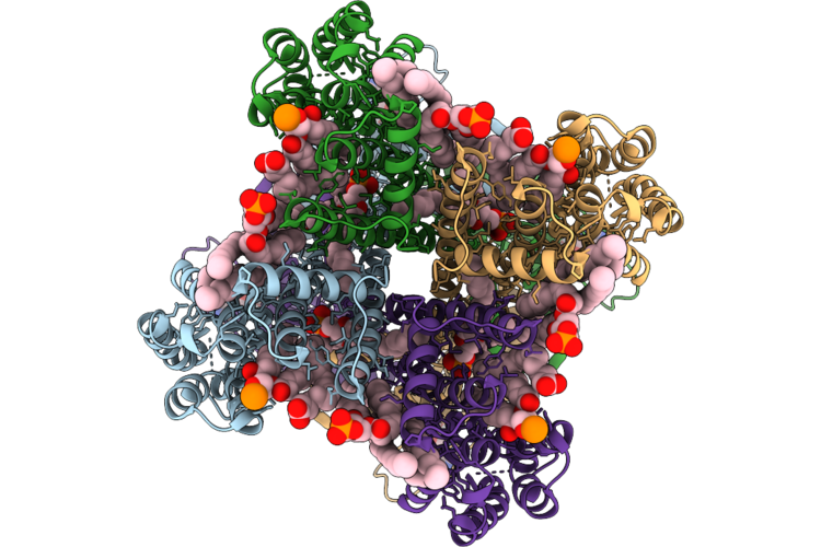 10RX image