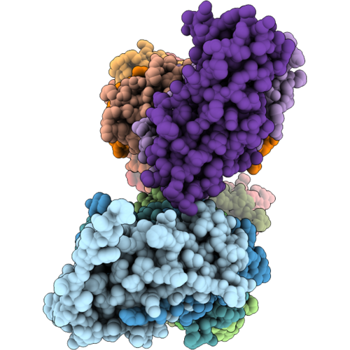 10SS image