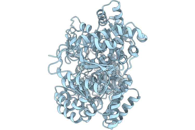 10UJ image