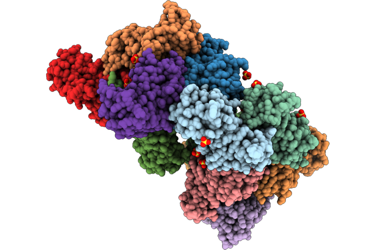 10UQ image