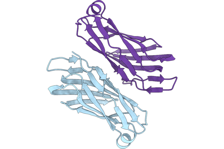 10UV image