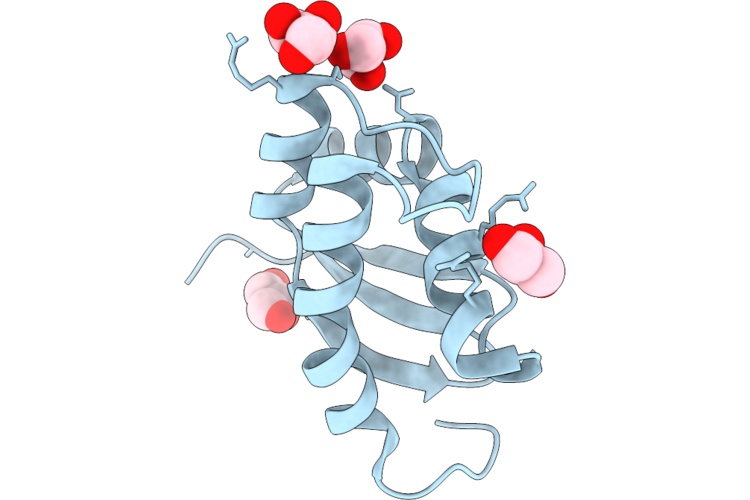 10XB image