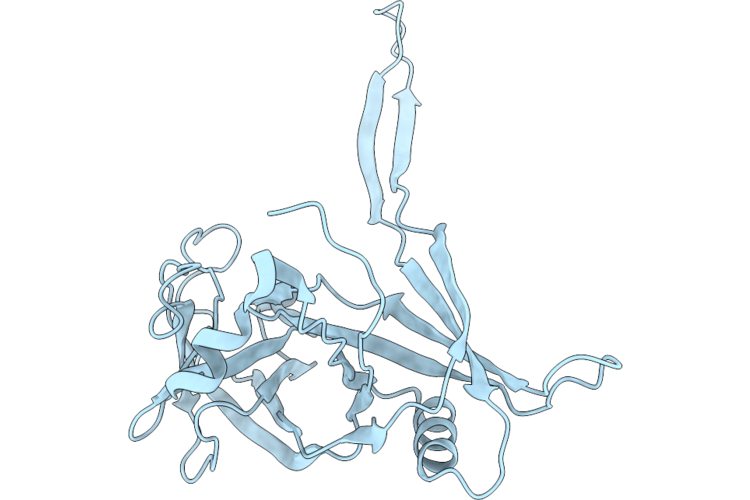 10XW image