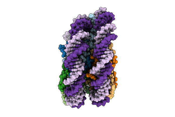 10XZ image