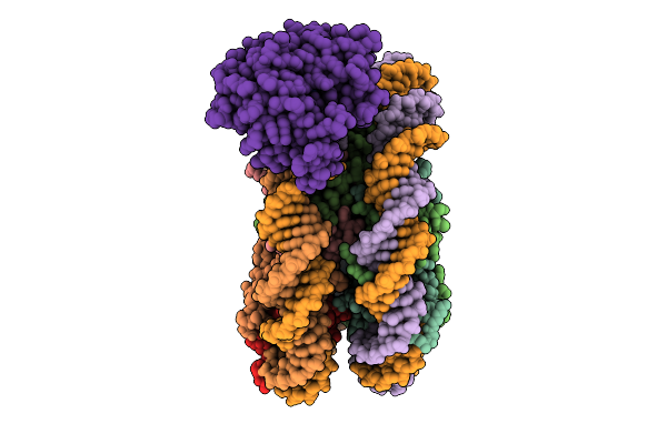 10YF image