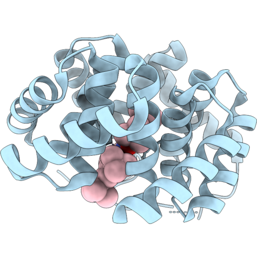10YM image