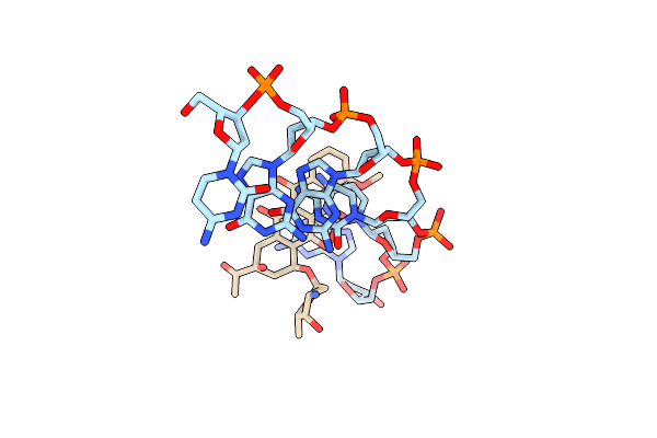 110D image