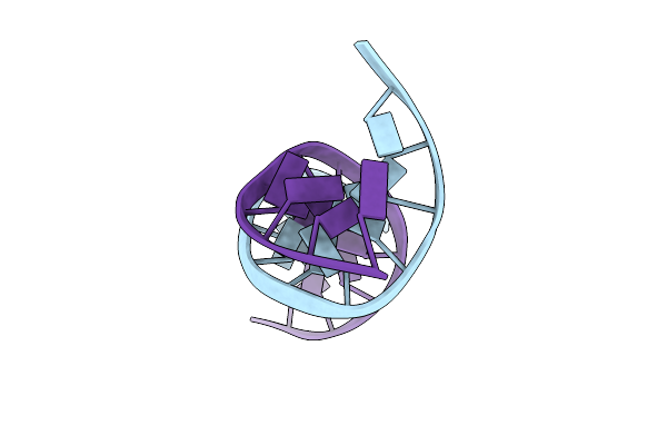 111D image