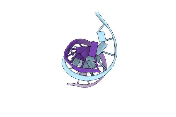 113D image