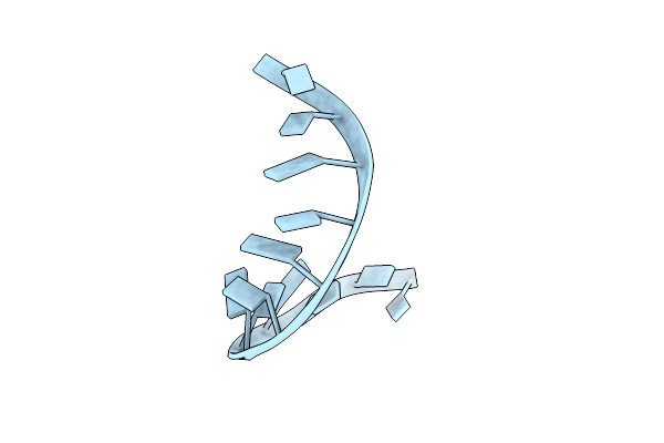 117D image