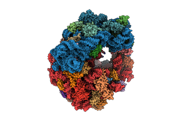 11BQ image