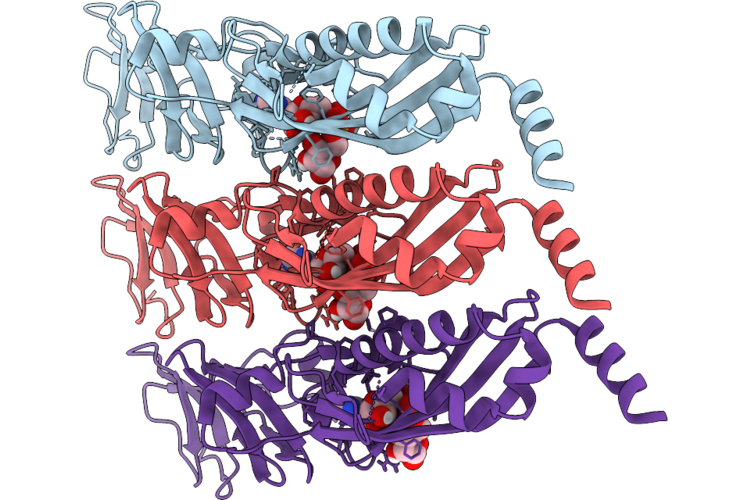 11DR image